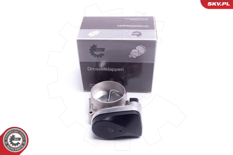 Throttle Body